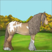 Horse Color:Chocolate Palomino Dun Tobiano Blanket 