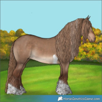 Horse Color:Liver Red Dun Tobiano 