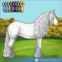 Horse Color:Chocolate Palomino Dun Tobiano Appaloosa Rabicano 