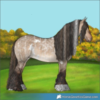 Horse Color:Liver Red Dun Roan  and White Spotted Bay Dun 