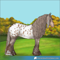 Horse Color:White Spotted Liver Red Dun Blanket 