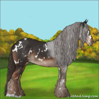 Horse Color:White Spotted Liver Chestnut 