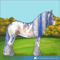 Horse Color:Watercolor White Spotted Brown Onyx Appaloosa 
