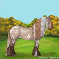 Horse Color:White Spotted Liver Red Dun 