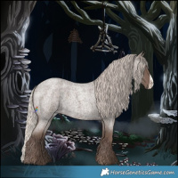 Horse Color:Silver Blue Roan Frame 
