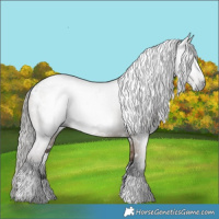 Horse Color:Gray White Spotted Liver Red Dun Brindle 