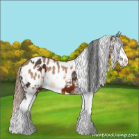 Horse Color:White Spotted Brown Splash Blanket  and Red Dun Blanket 