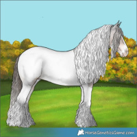 Horse Color:Liver Chestnut Splash Tobiano Appaloosa 