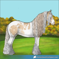 Horse Color:White Spotted Chocolate Palomino Dun Splash Tobiano Rabicano Brindle