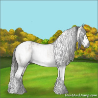 Horse Color:Gray Brown Dun Tobiano  and Gray White Spotted Liver Chestnut Splash 
