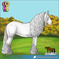 Horse Color:White Spotted Chocolate Palomino Splash Tobiano Snowcap  and White Spotted Chocolate Palomino Splash Snowcap 