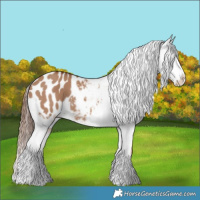 Horse Color:Red Dun Sabino Varnish 