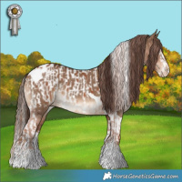 Horse Color:Chestnut Sabino Appaloosa and Liver Red Dun Splash Tobiano