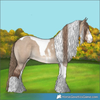 Horse Color:Liver Red Dun Sabino Tobiano Rabicano