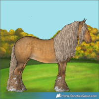 Horse Color:Chocolate Palomino Dun 