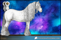 Horse Color:Liver Red Dun Sabino Appaloosa Rabicano Brindle and White Spotted Liver Chestnut Appaloosa