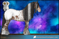 Horse Color:Liver Red Dun Sabino Snowcap Rabicano Brindle  and White Spotted Liver Chestnut Snowcap 