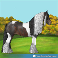 Horse Color:Brown Tobiano Varnish