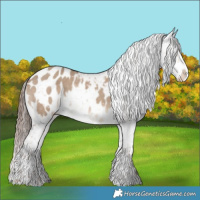 Horse Color:White Spotted Liver Red Dun Appaloosa 