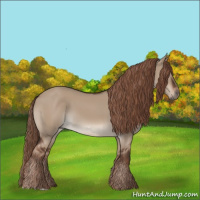 Horse Color:Liver Red Dun 