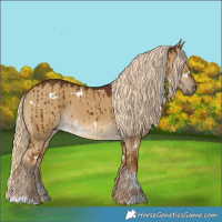 Horse Color:White Spotted Chocolate Palomino Dun Brindle 
