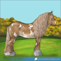 Horse Color:White Spotted Chocolate Palomino Dun 
