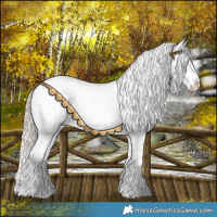Horse Color:Chocolate Palomino Pearl Dun Appaloosa Brindle 