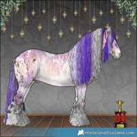 Horse Color:White Spotted Brown Appaloosa  and Watercolor White Spotted Liver Red Dun Onyx 