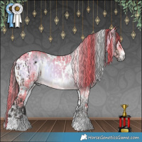 Horse Color:White Spotted Brown Appaloosa  and Watercolor White Spotted Liver Red Dun Onyx 