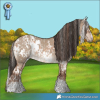 Horse Color:White Spotted Gold Champagne Blanket  and White Spotted Liver Red Dun 