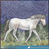 Horse Color:Sable Cream Champagne Dun Tobiano Brindle 