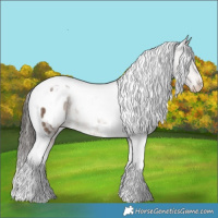 Horse Color:White Spotted Liver Red Dun Tobiano Appaloosa Rabicano Brindle 