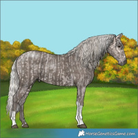 Horse Color:Platinum Silver Buckskin Tobiano  and Silver Black Tobiano 
