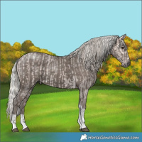 Horse Color:Platinum Silver Buckskin Tobiano  and Silver Black Tobiano 