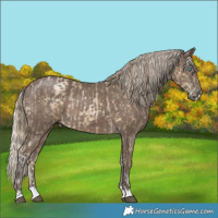 Horse Color:Brown Snowdrop Pearl Splash Tobiano and Silver Black