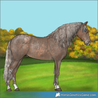 Horse Color:Brown Pearl Splash Tobiano  and Silver Black 