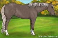 Horse Color:Silver Black 