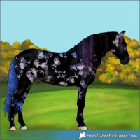 Horse Color:Void Watercolor White Spotted Bay Dun Tobiano 