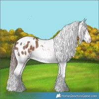 Horse Color:Liver Red Dun Tobiano Appaloosa Brindle 