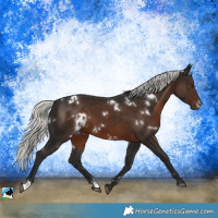 Horse Color:White Spotted Liver Chestnut Mushroom 