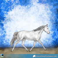 Horse Color:Chocolate Palomino Sabino