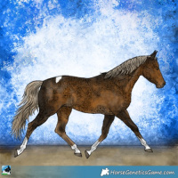 Horse Color:Chocolate Palomino Ice Mushroom Tobiano Rabicano 