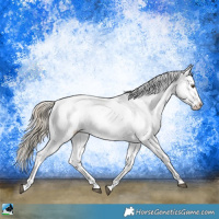 Horse Color:White Spotted Chocolate Palomino Mushroom Appaloosa Rabicano 