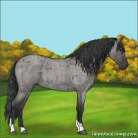 Horse Color:Grullo Roan Tobiano 