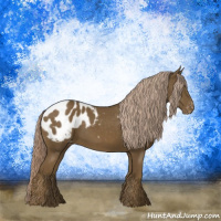 Horse Color:Chocolate Palomino Blanket 