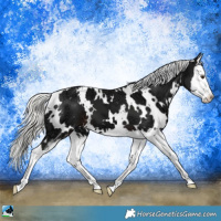 Horse Color:White Spotted Liver Chestnut Ice Mushroom Sabino Splash 