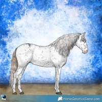 Horse Color:Liver Chestnut Ice Sabino 