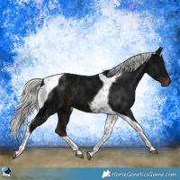 Horse Color:Liver Chestnut Ice Mushroom Tobiano 