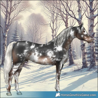 Horse Color:White Spotted Liver Chestnut Mushroom Rabicano 