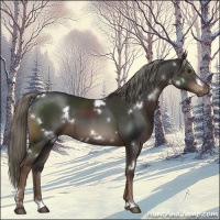 Horse Color:White Spotted Liver Chestnut Mushroom 